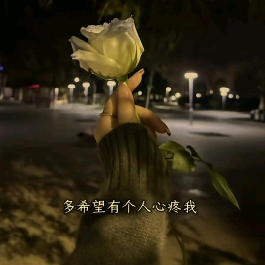 💞ღ᭄余生💞꧔ꦿ᭄
