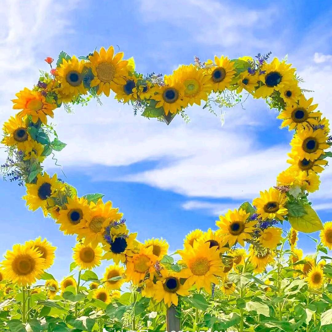 ᥫᩣᐝ沉ᩚ默ᩚ不ᩚ言ᩚꦿ꧔᪲