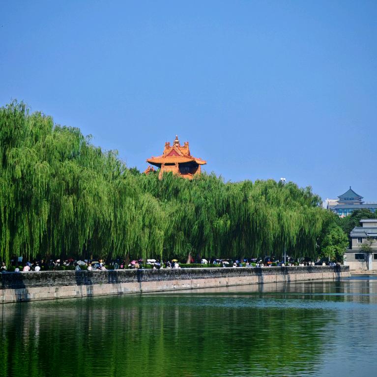 期待是一种微妙的暴力
