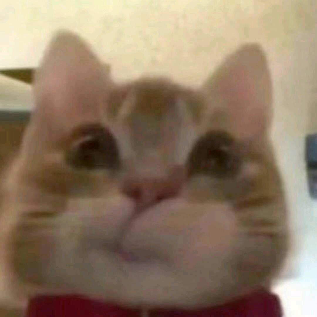 只与你