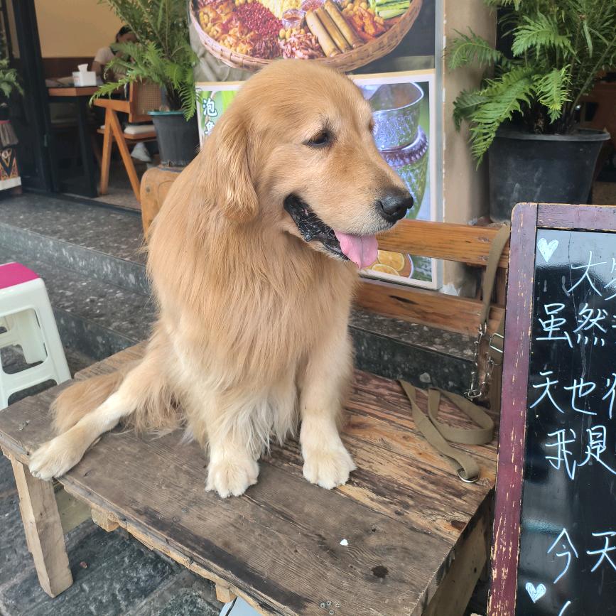 珍惜当下🍁🍁