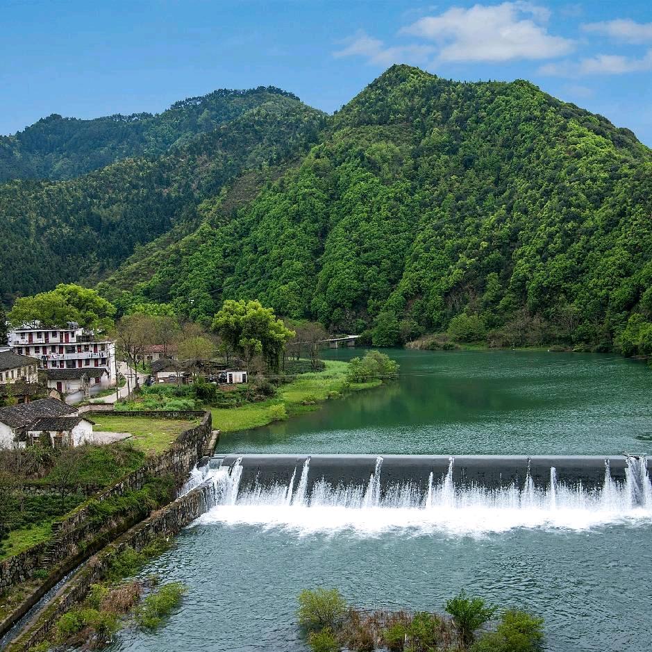 陶大掌柜