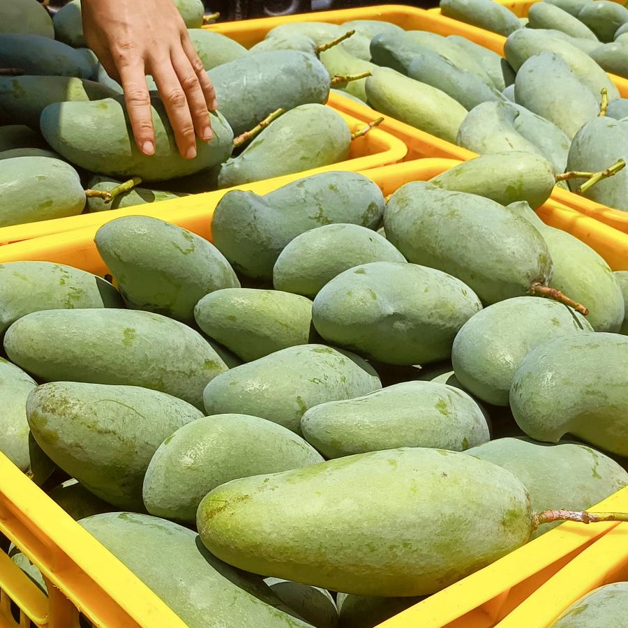 壮乡原生态食品