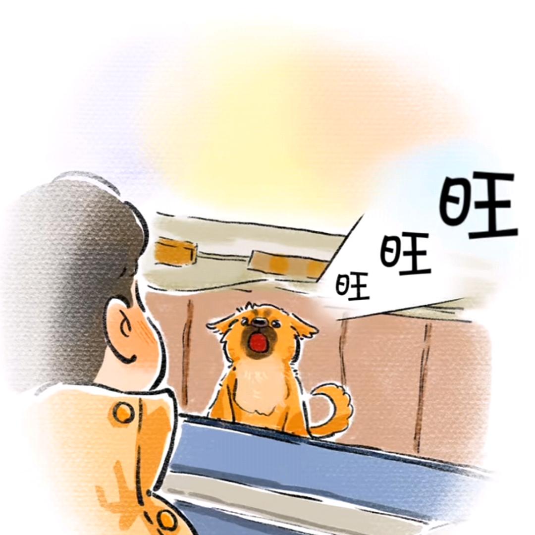 木易先生99.99