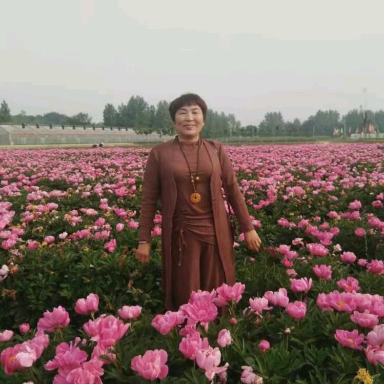 🌺花好月圆🌺