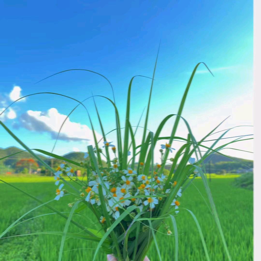 💞ঞᩚ᭄风轻云淡ꦿꕥ້໌ᮨ💕