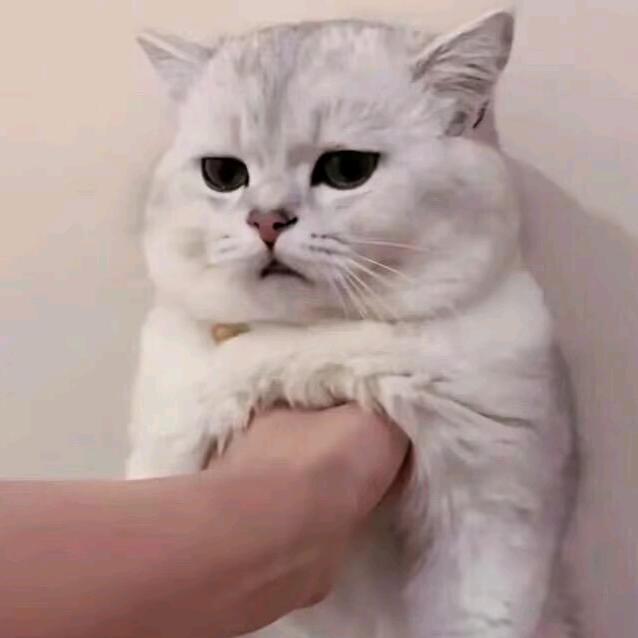 111111