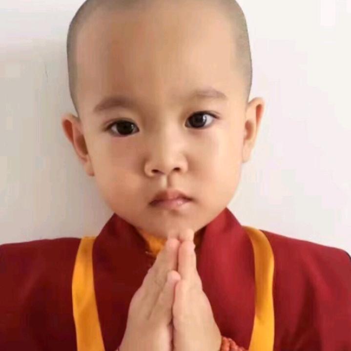 哥不是你的玩具