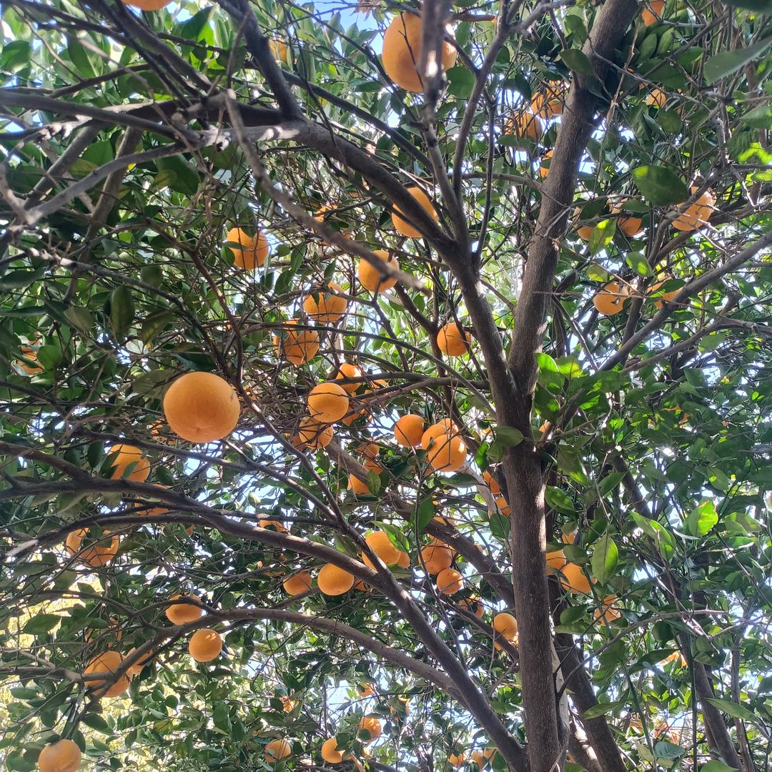 山河晚秋