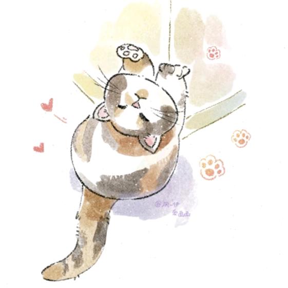 团小鱼