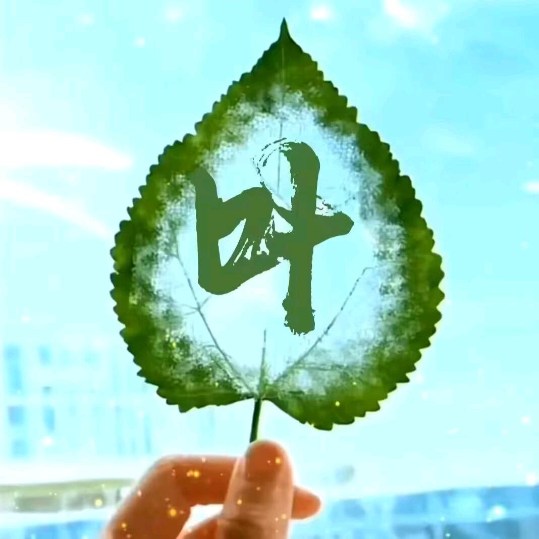 一切顺其自然…叶子