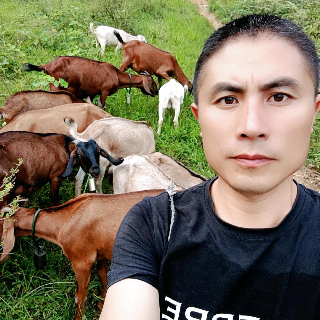 男人的苦有随懂