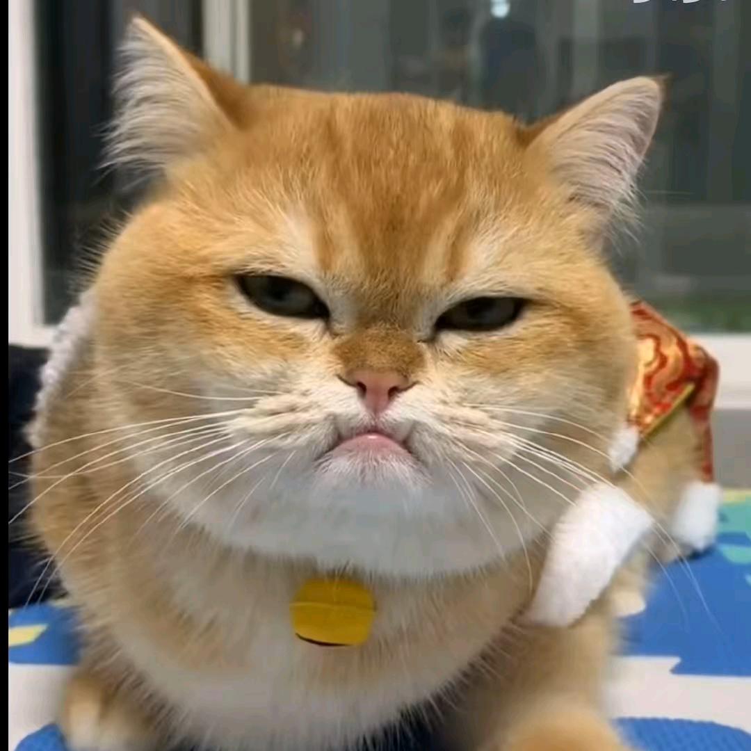 达文西