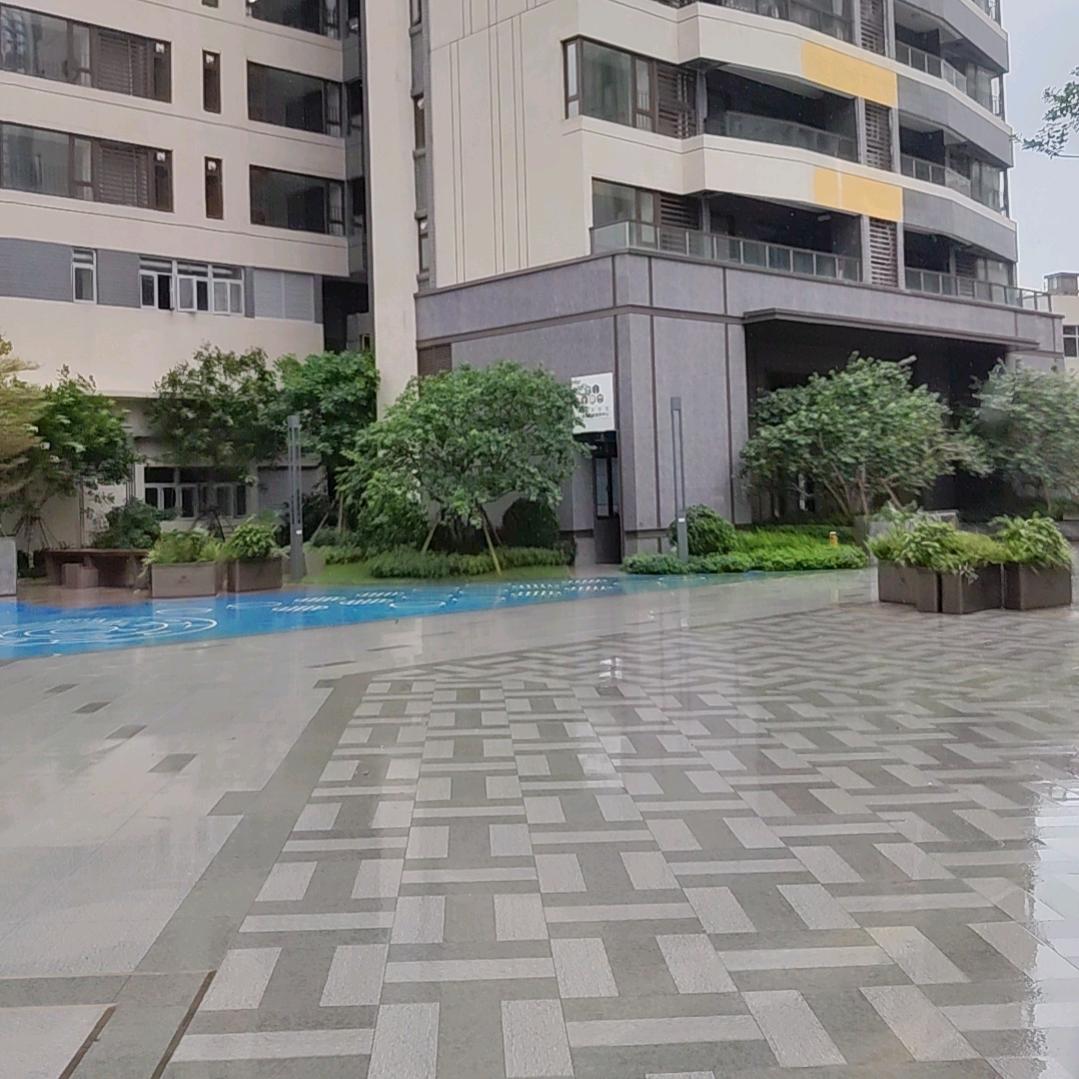 理解