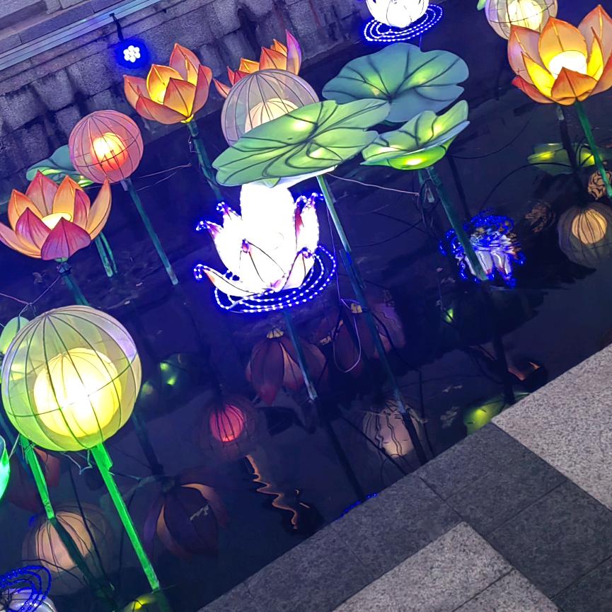 ✺◟(∗❛ัᴗ❛ั∗)◞✺风