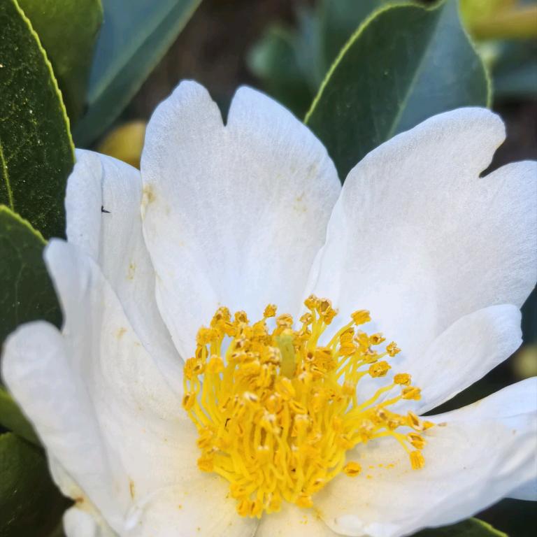 ◣讓鈊歸蕶◥ 拒绝私聊