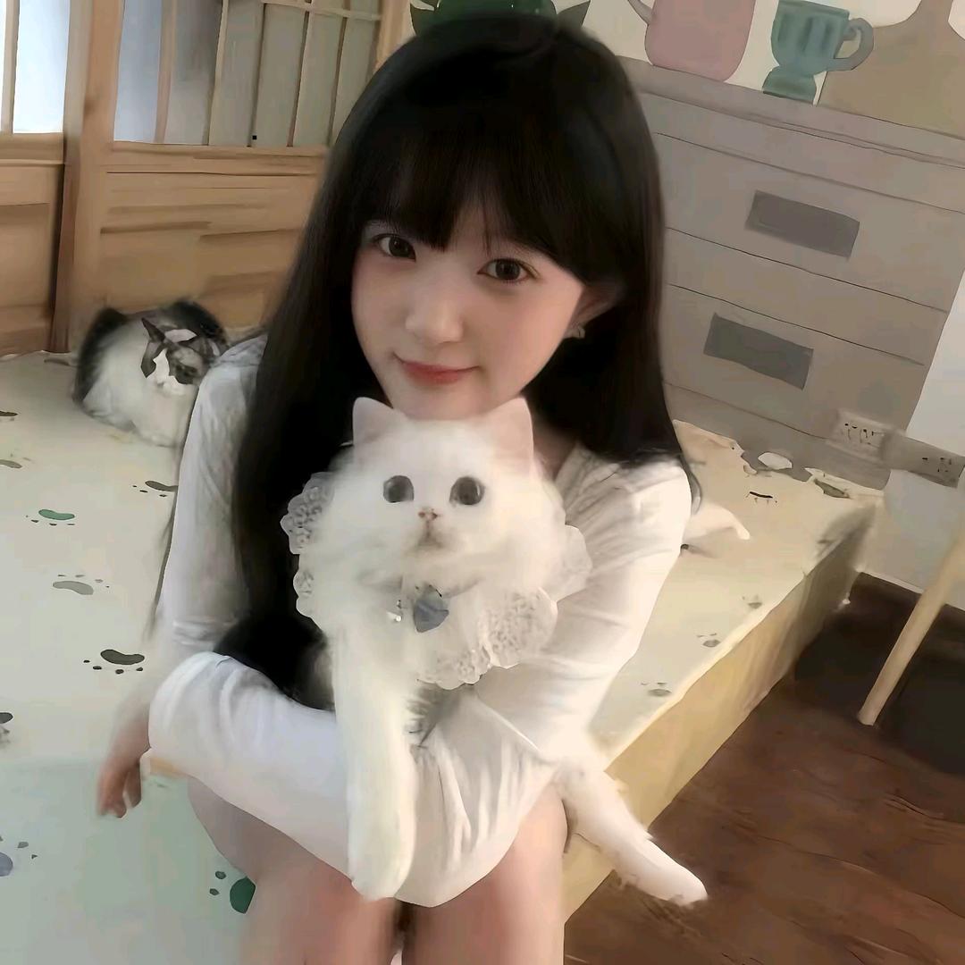 @养只猫