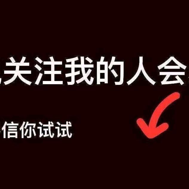 小鸭的橱窗