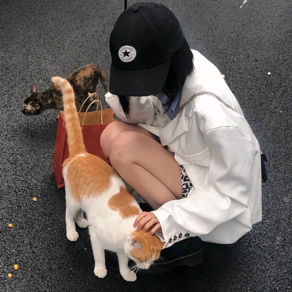 台前县证达网络