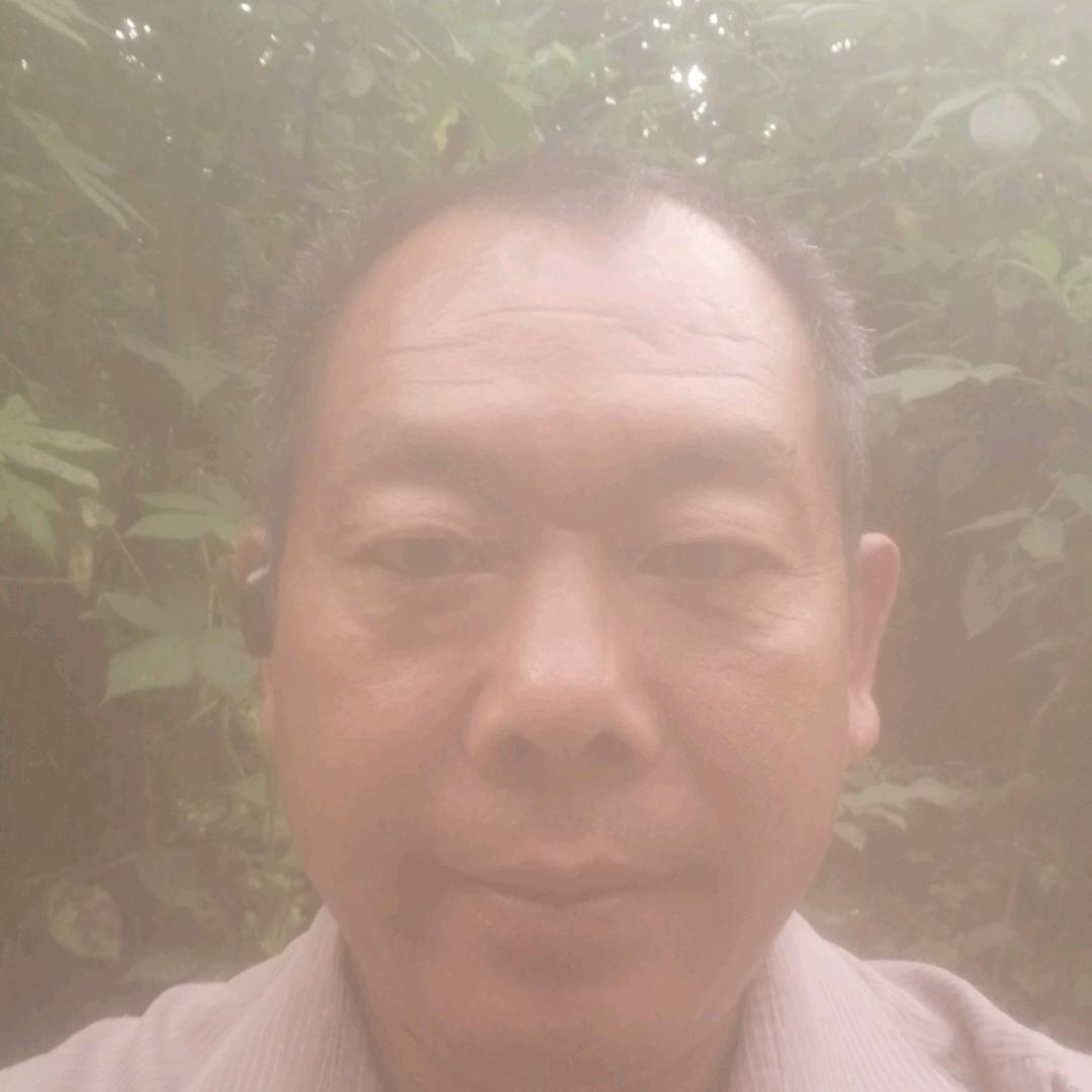 为你走天涯