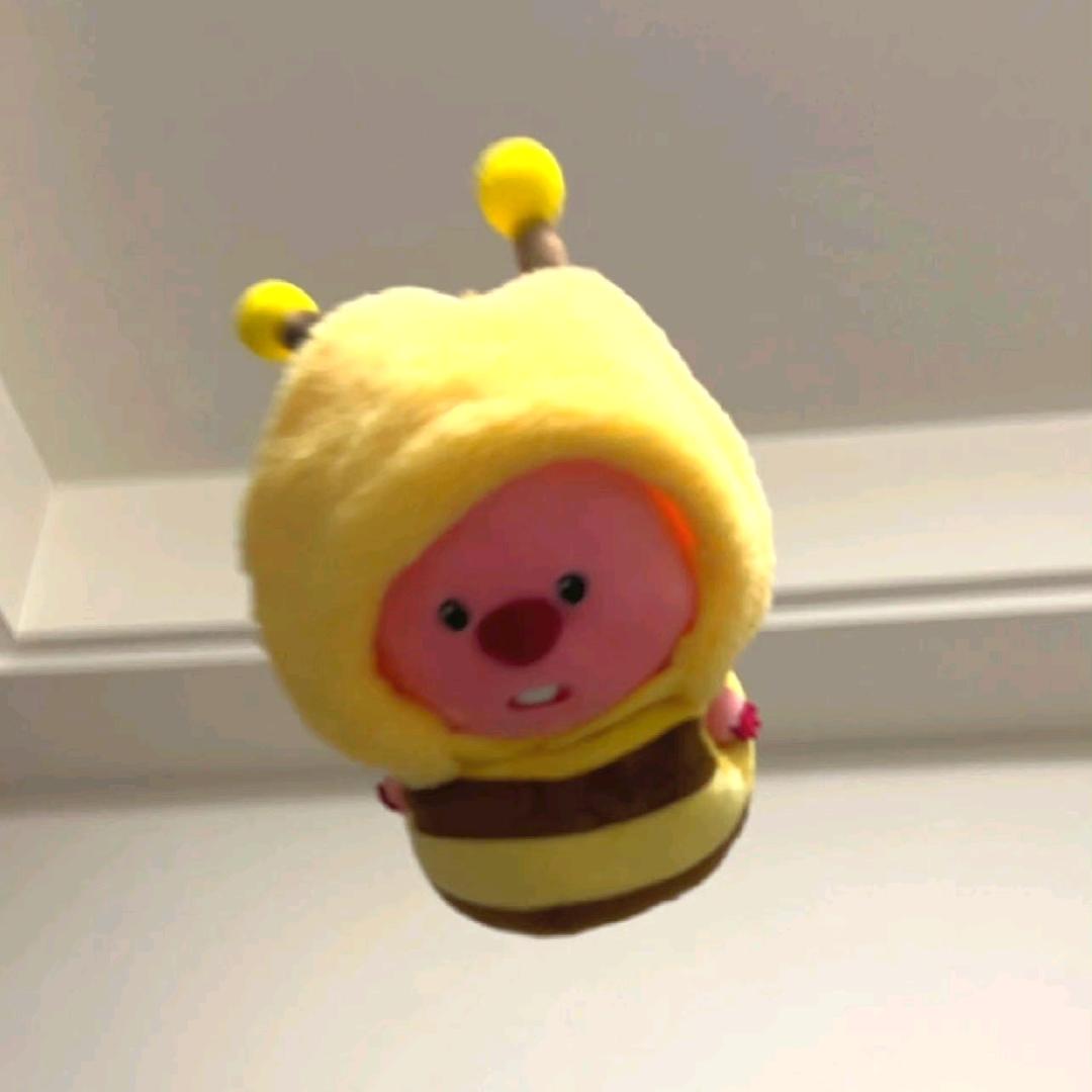 照玻悬