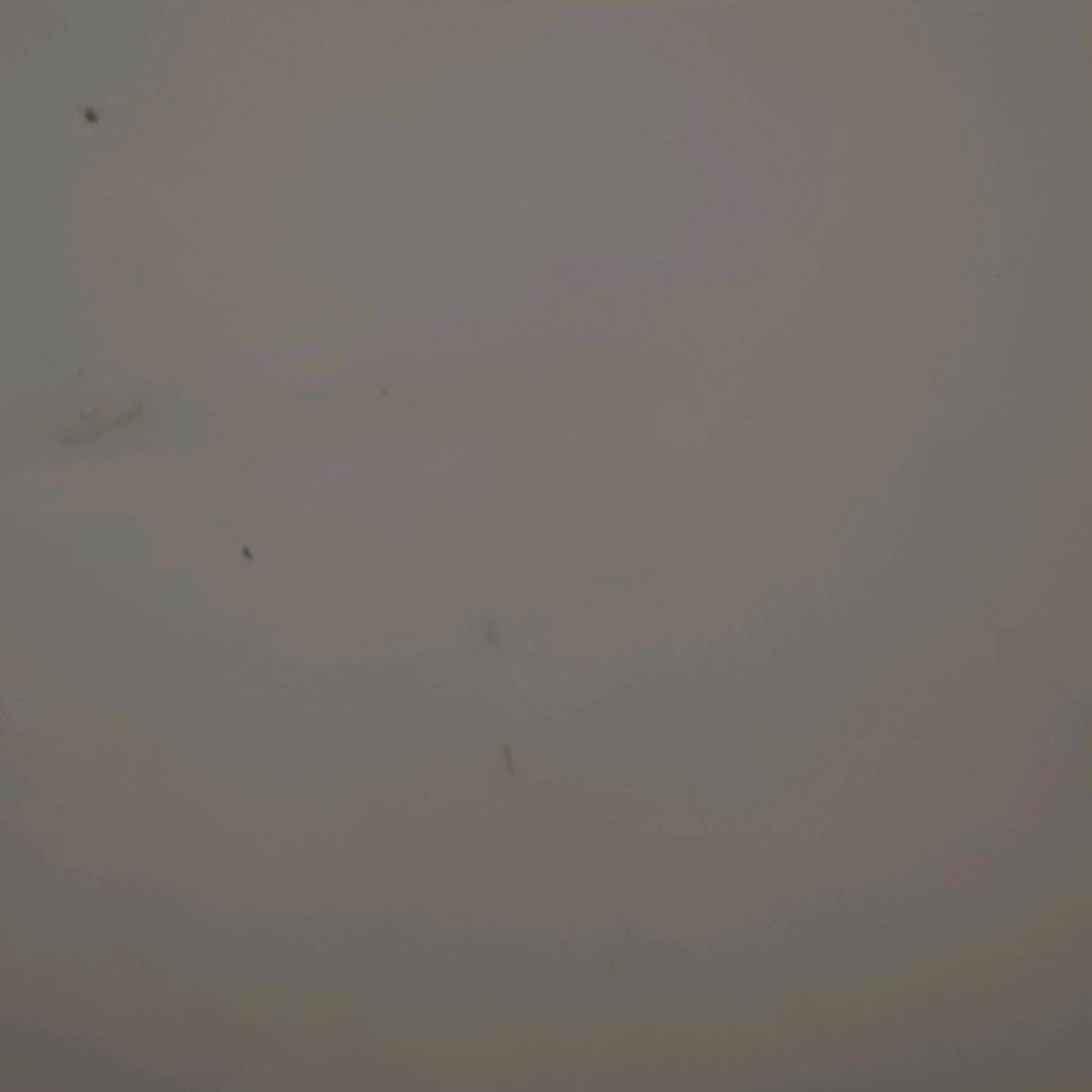 烟雨。