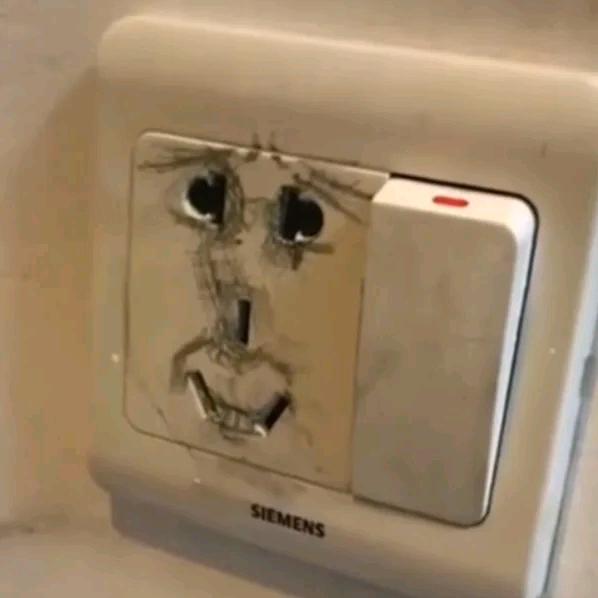 单身狗协会会长