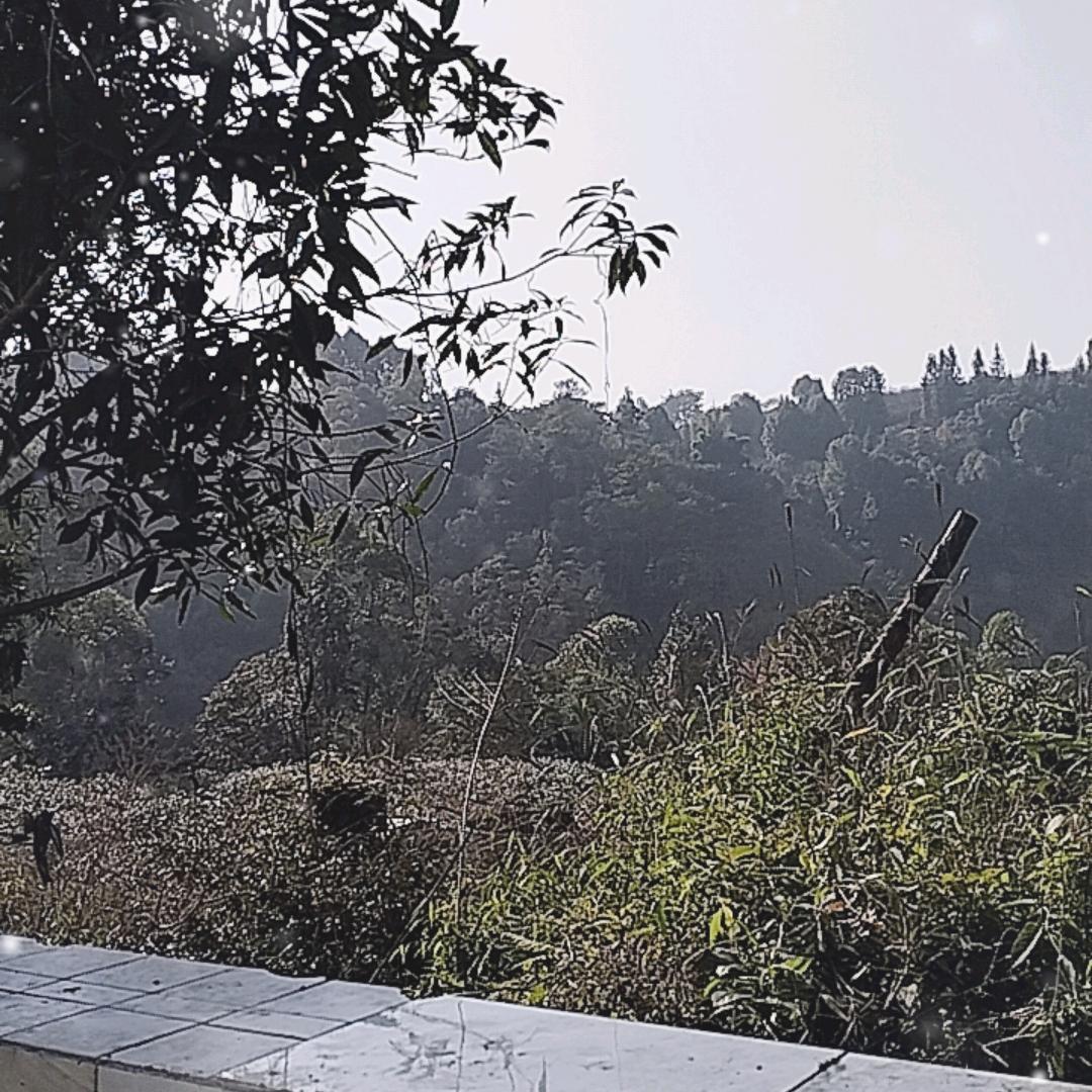 睛空万里