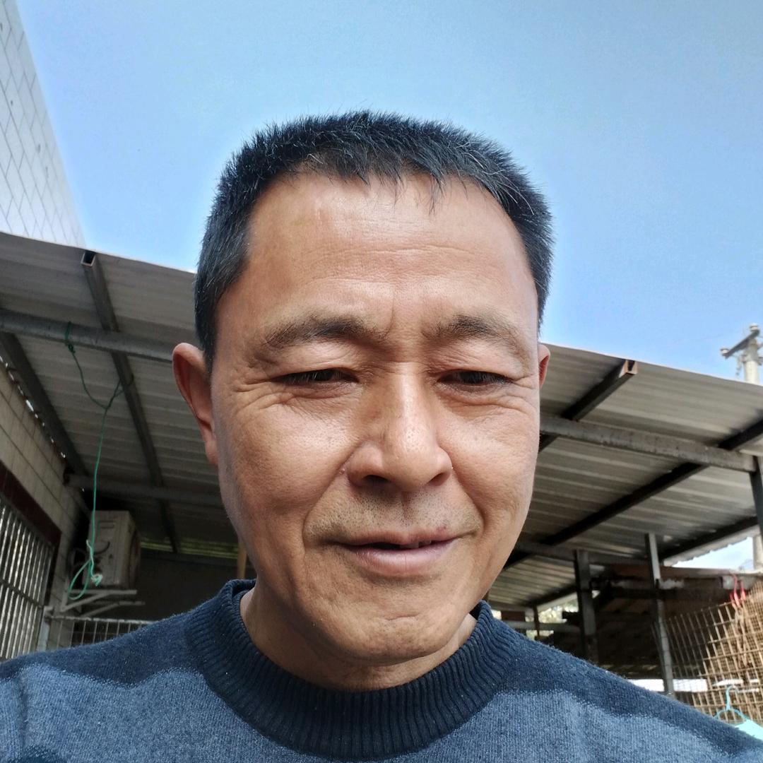 长青树123