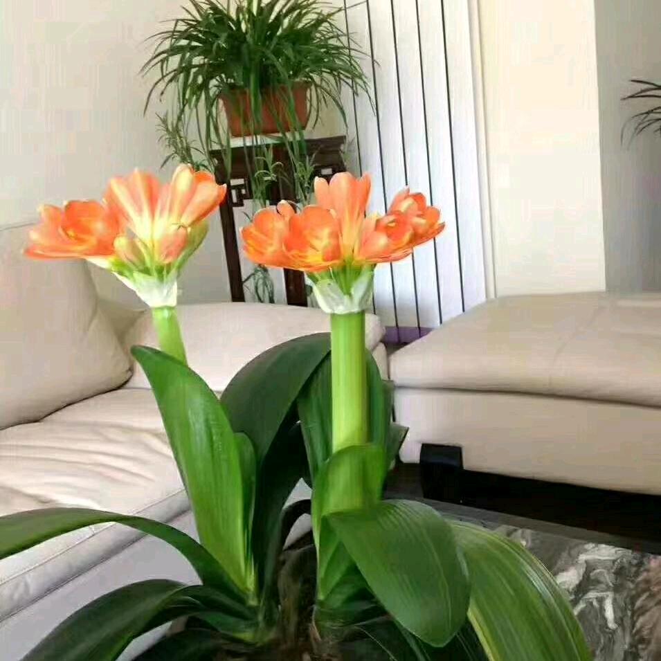 阡陌