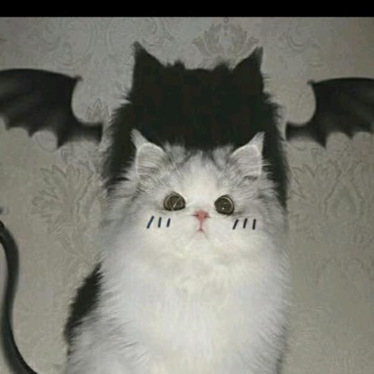 嘻嘻！🐒🐒🐒🐒