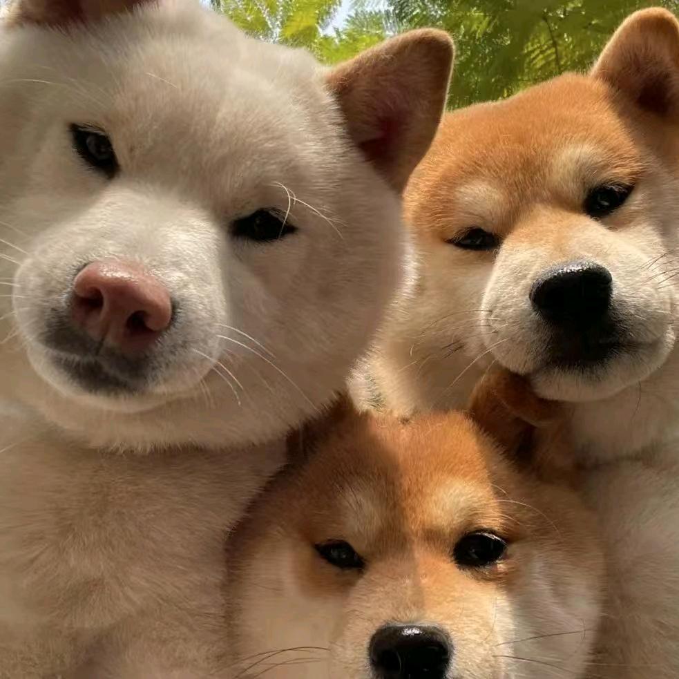 卷不动