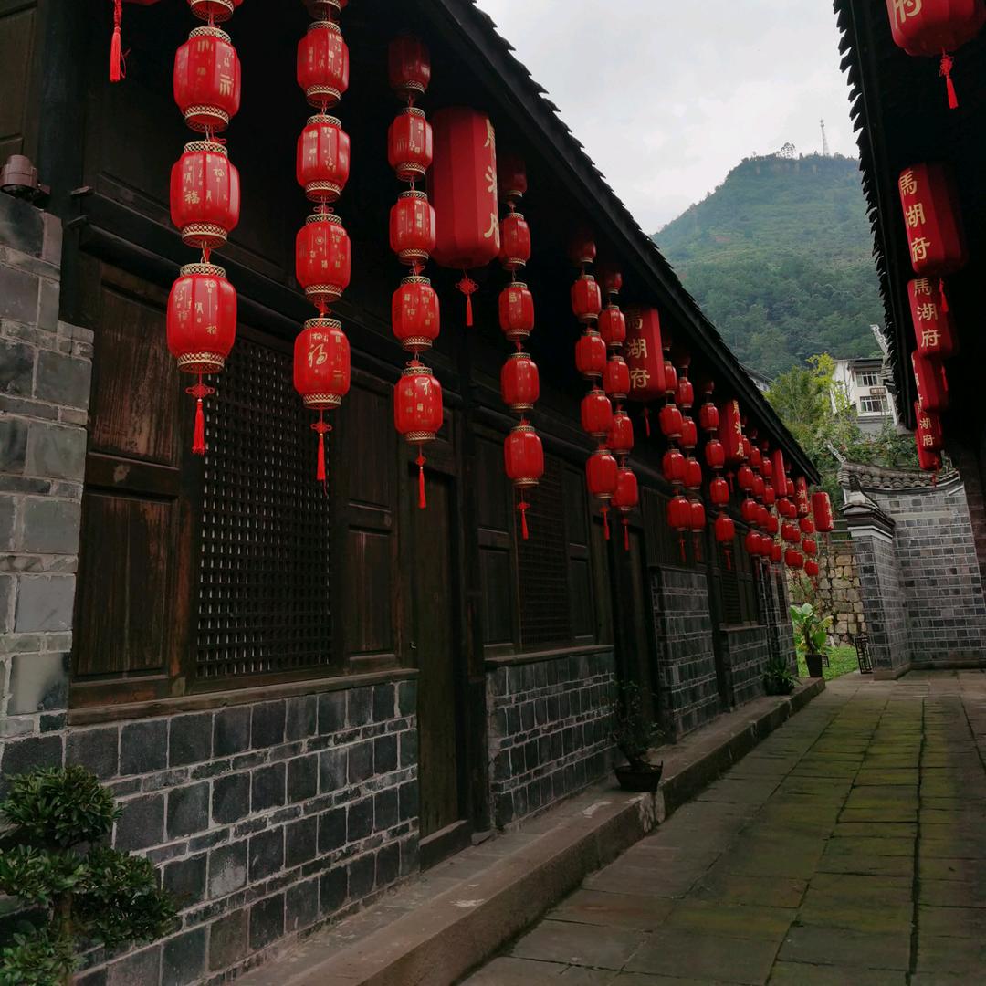 LLOL╰(⇀‸↼)╯