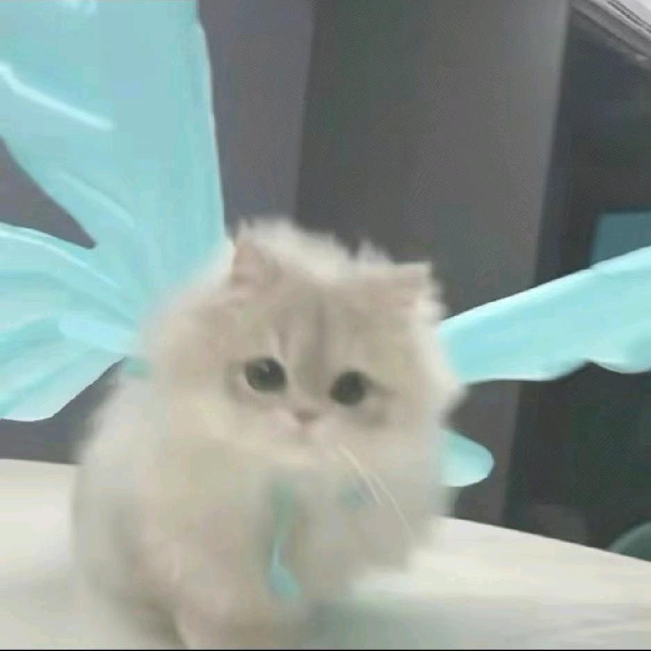 k璇
