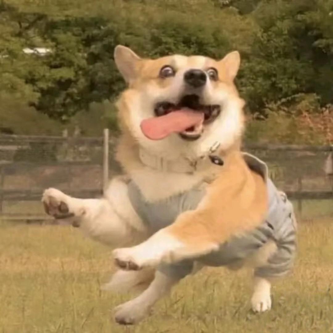 你霉柿吧！🍓