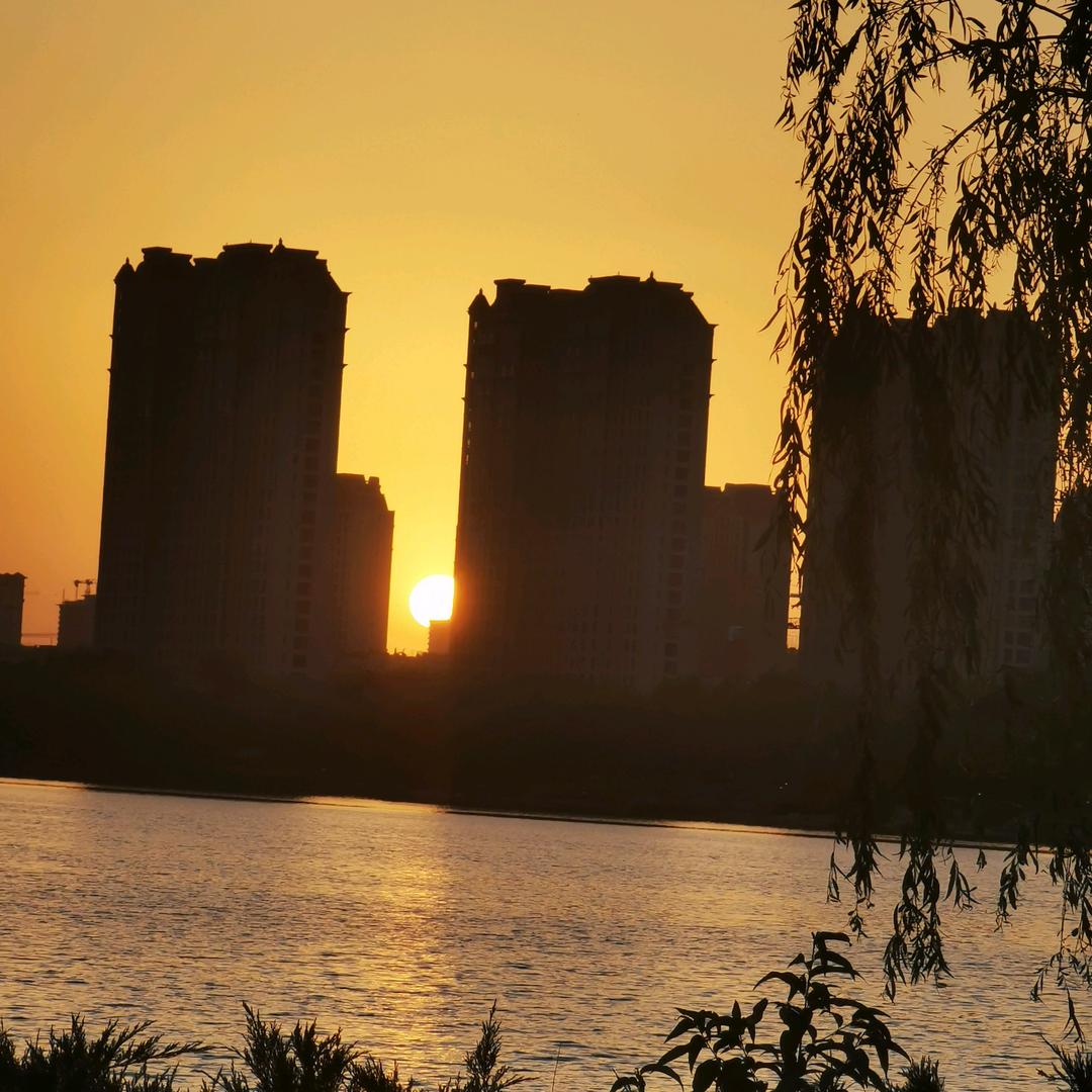 陈石榴选好货店