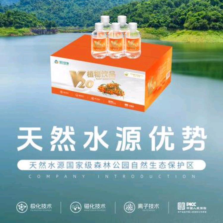 阿兰德龙f