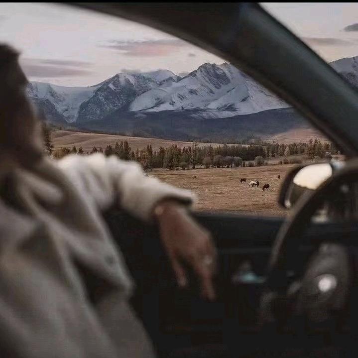 华西峰毅爽冷链商行