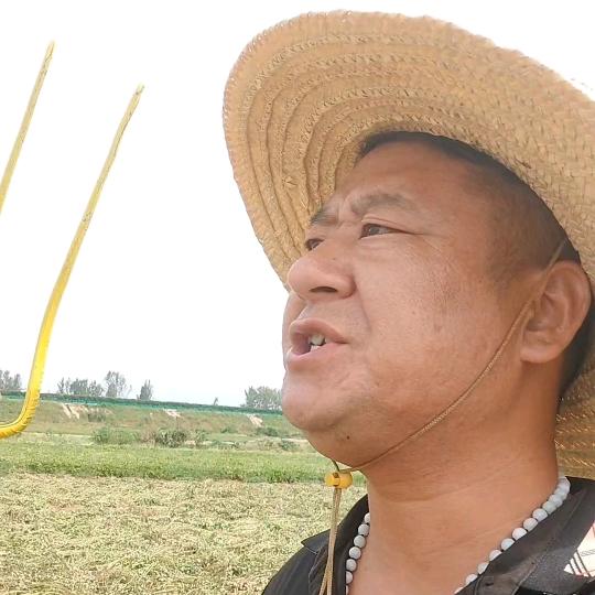 宁陵县逻岗镇红亮花生收购点