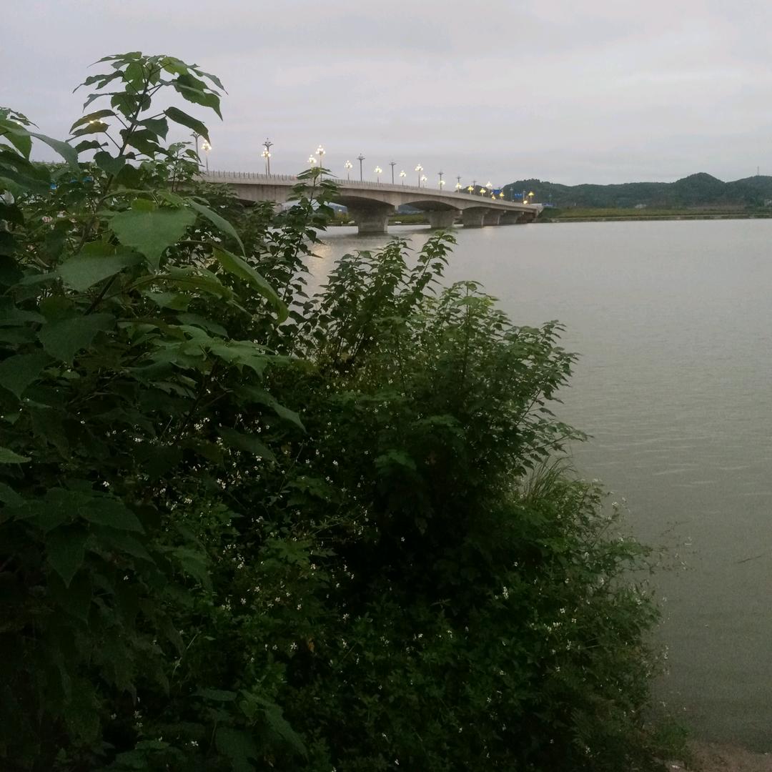 全哥生活优港
