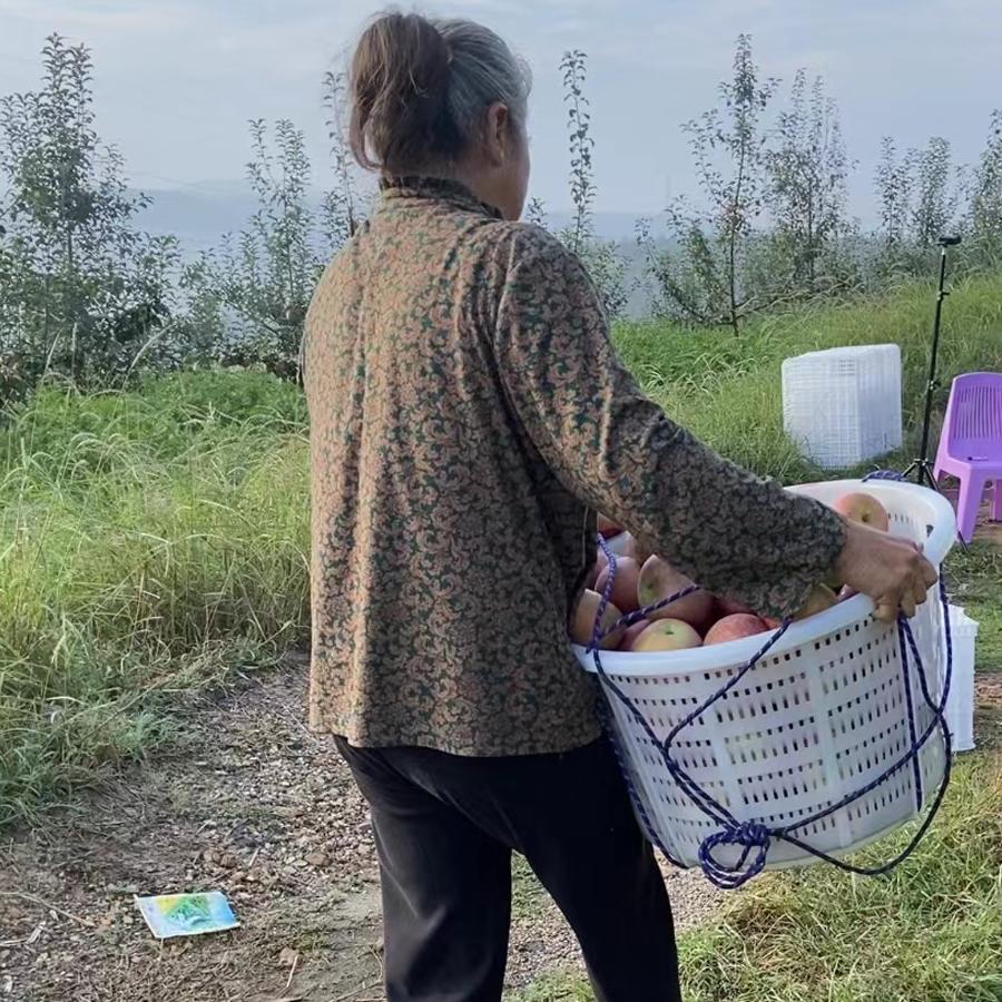 外婆自家的果园