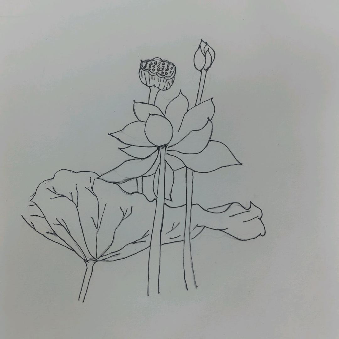 汉法纸坊