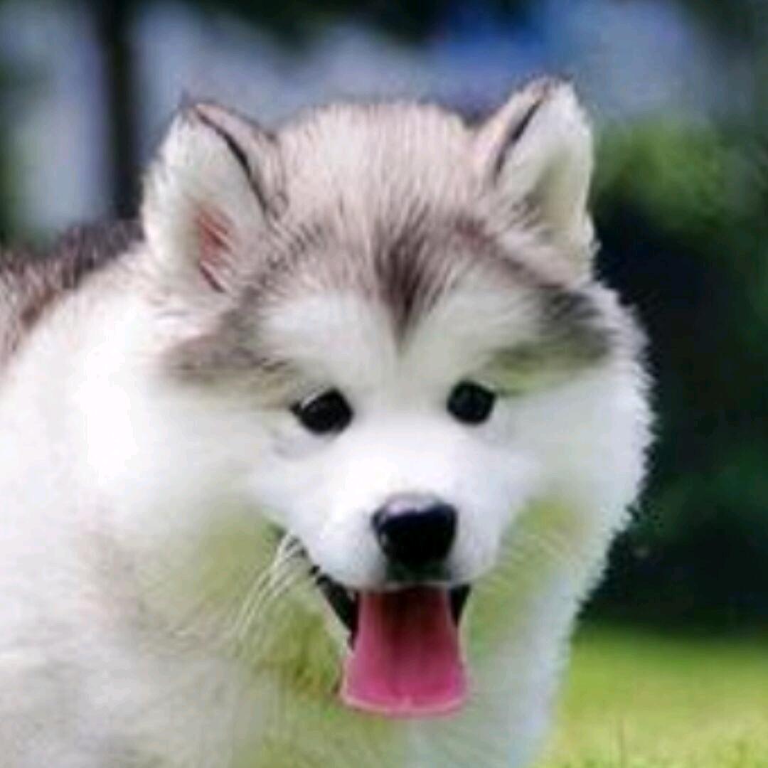 人生方知悔，几时醒