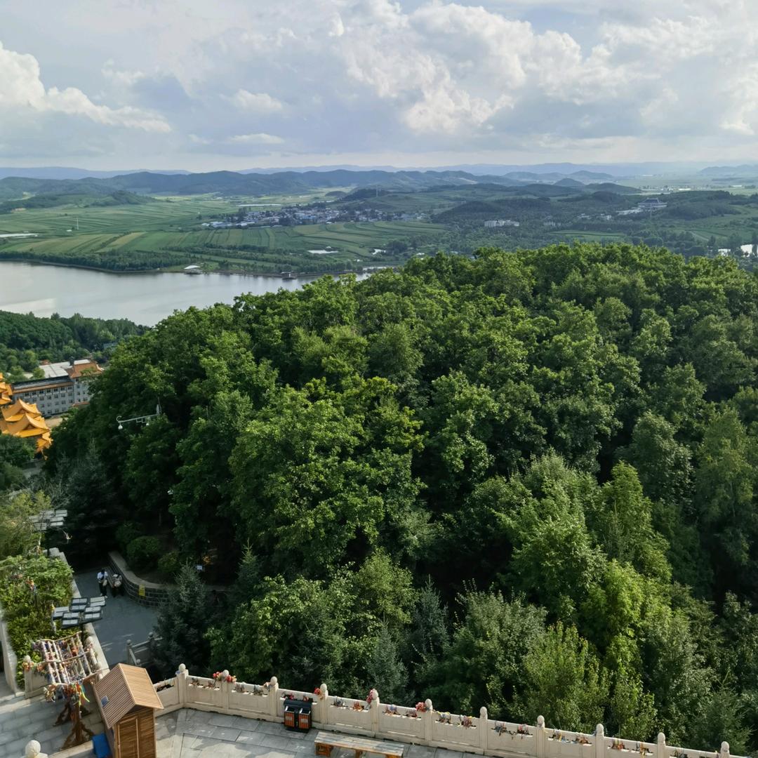 浩泽林🌳