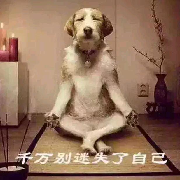 狗蛋儿