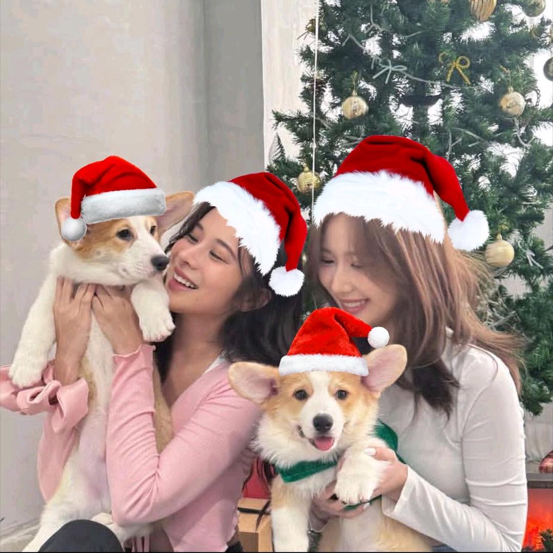 小张不是哦！♛