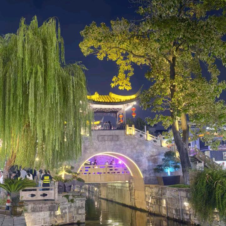 静静是谁