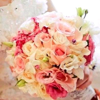 我是最好的心情🌷🌷🌷🌷🌷🌷