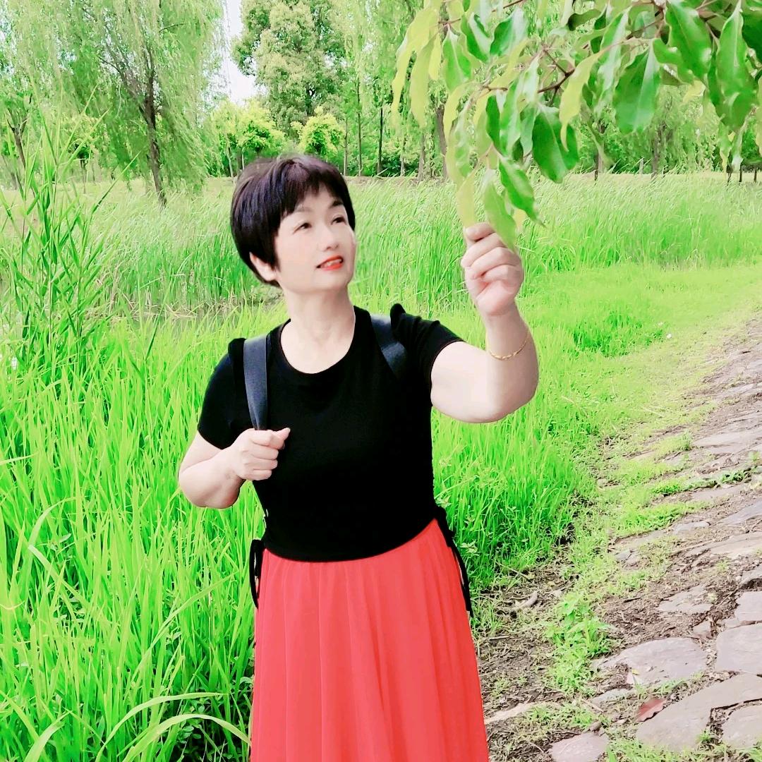 春意盎然巜赞过三不回》