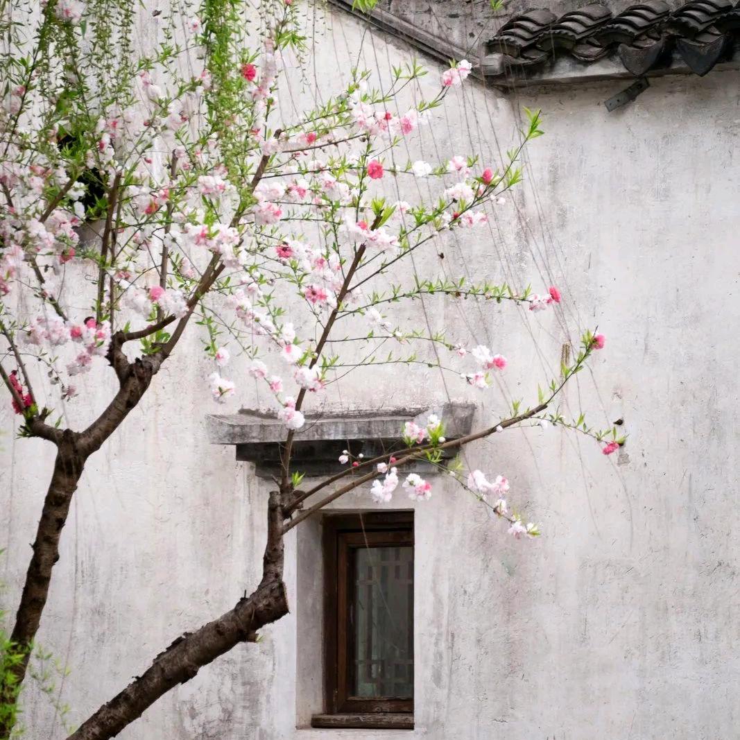 子鈺